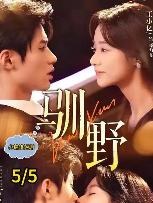 边境线海报
